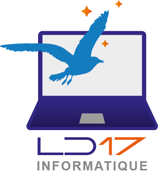 LD17 Informatique